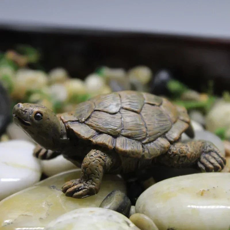 Resin Simulation Small Turtle  - Succulent Set recension och pris