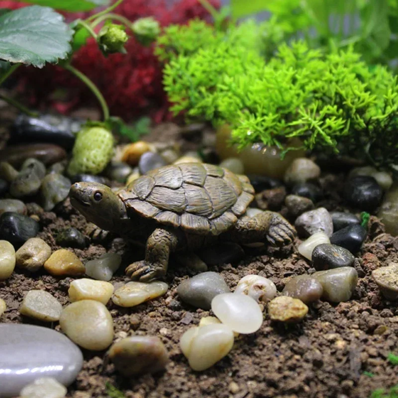 Resin Simulation Small Turtle  - Succulent Set recension och pris