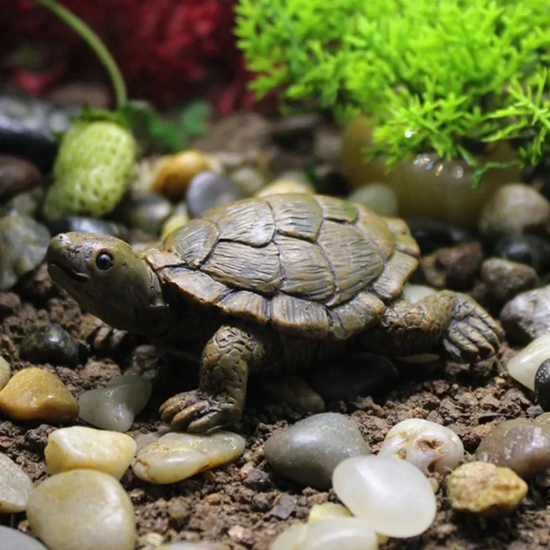 Resin Simulation Small Turtle  - Succulent Set recension och pris