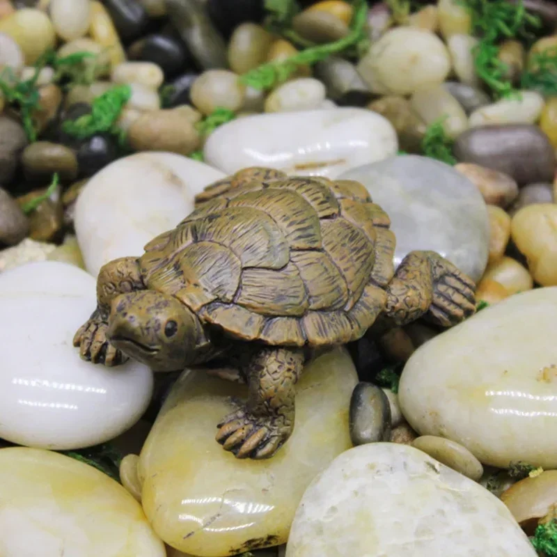 Resin Simulation Small Turtle  - Succulent Set recension och pris