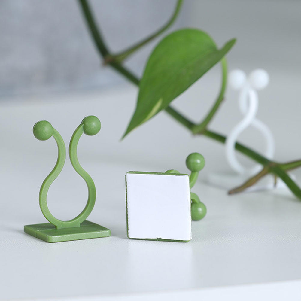 80Pcs Plant Climbing Fixture H - Pothos recension och pris