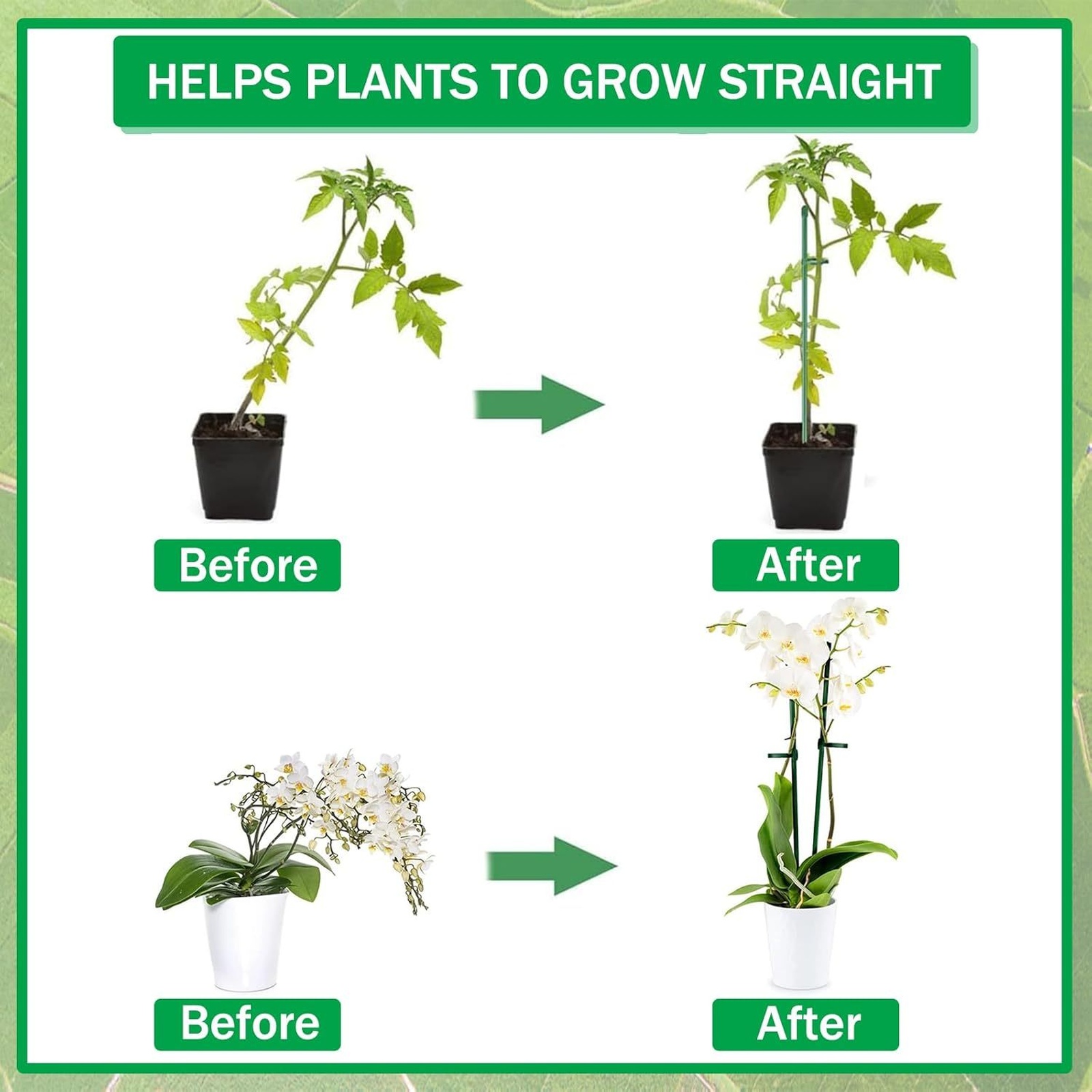 Plant Supports Rod Single Stem - Terracotta Pot recension och pris