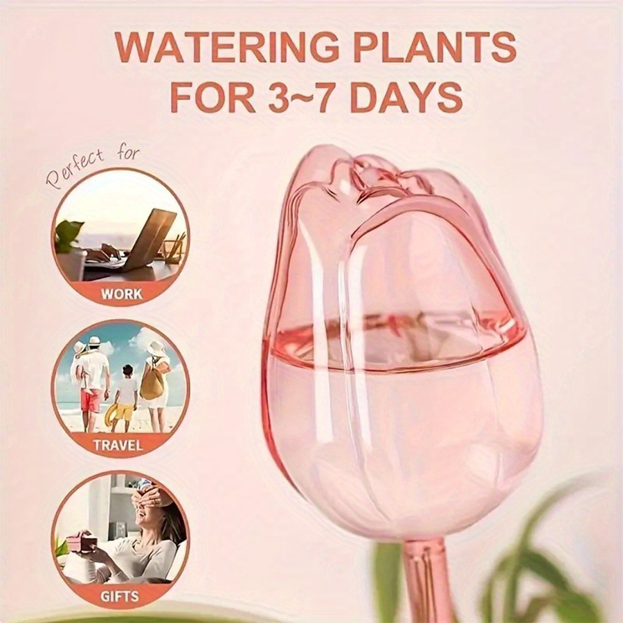 Transparent Thick PET Tulip Sh - Pothos recension och pris