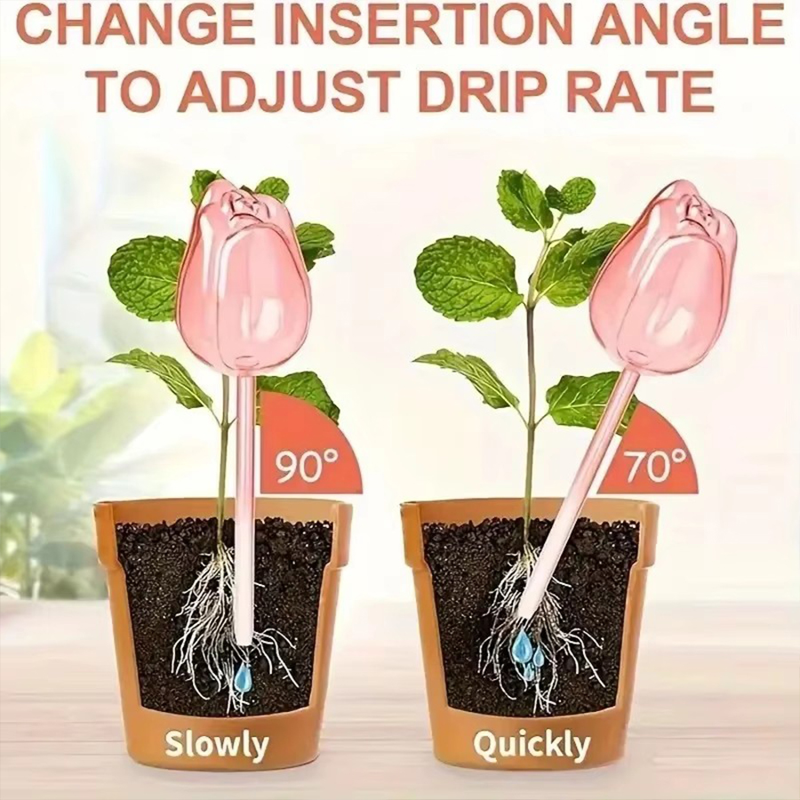 Transparent Thick PET Tulip Sh - Pothos recension och pris