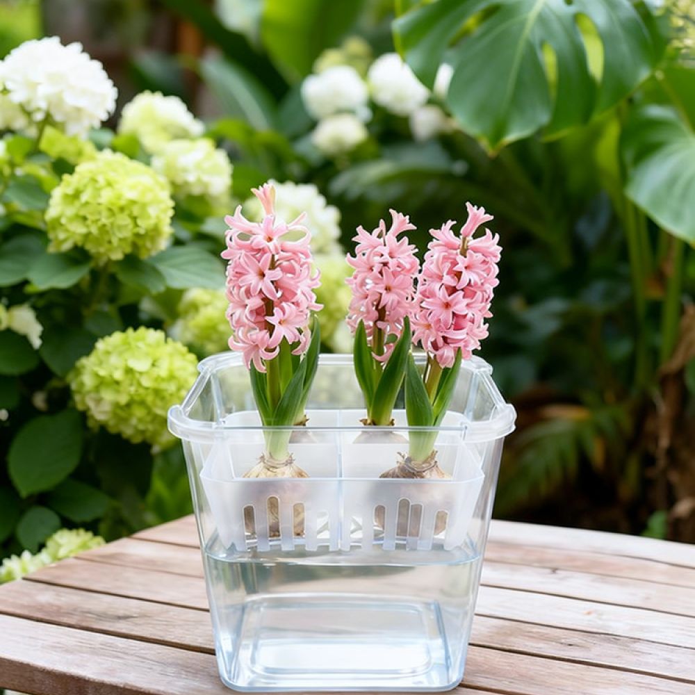 Hydroponic Vase For Tulip Lily - Indoor Plants recension och pris