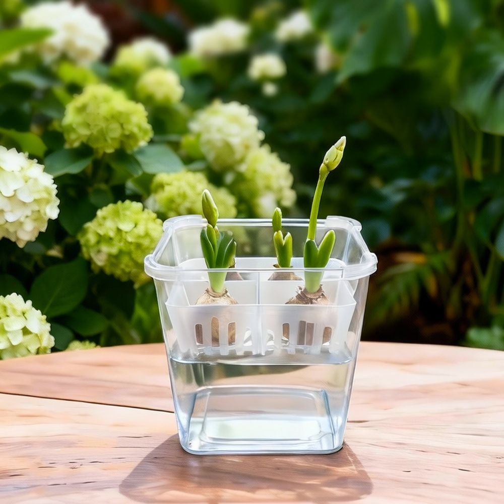 Hydroponic Vase For Tulip Lily - Indoor Plants recension och pris