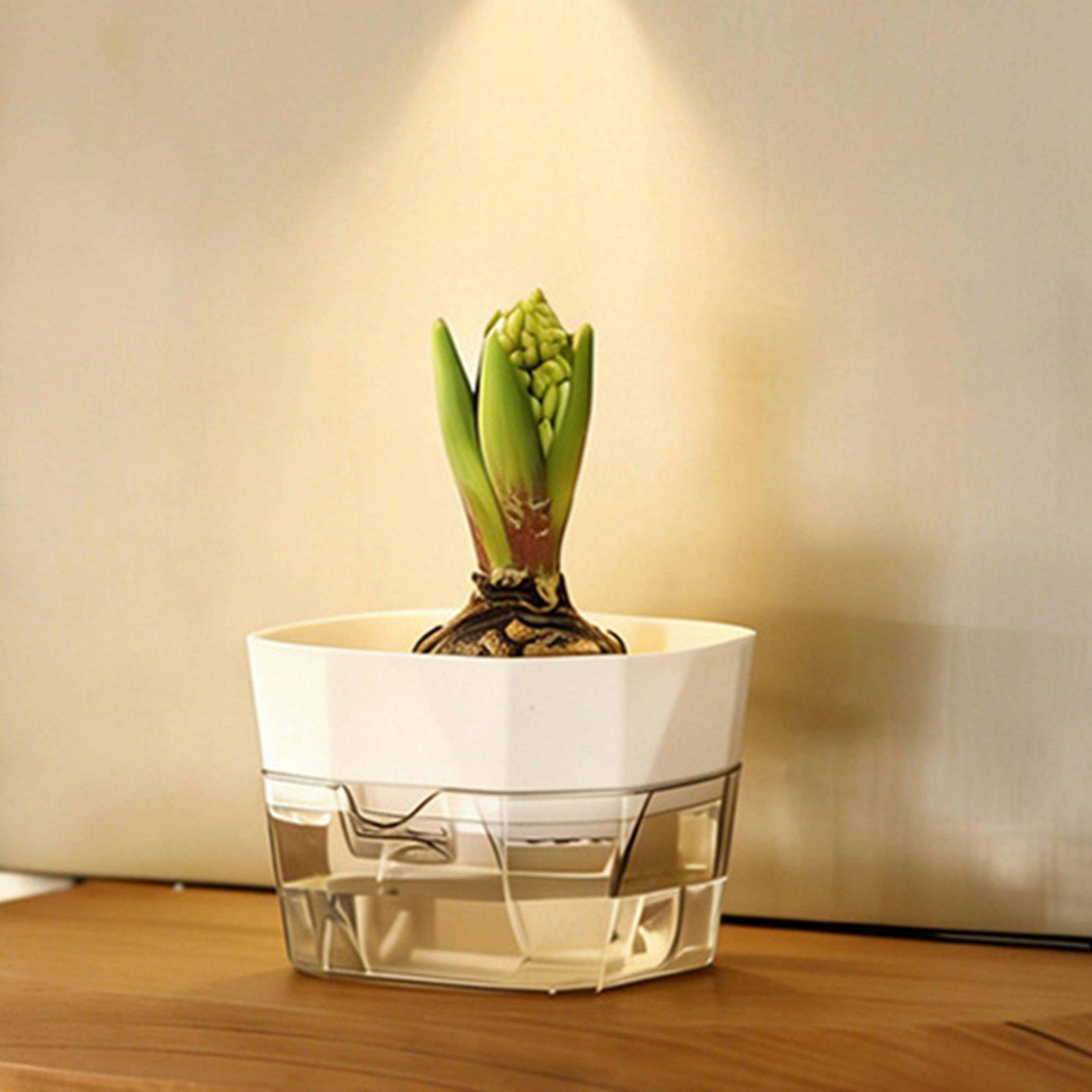 Hydroponic Vase Two Layer Self - Indoor Plants recension och pris