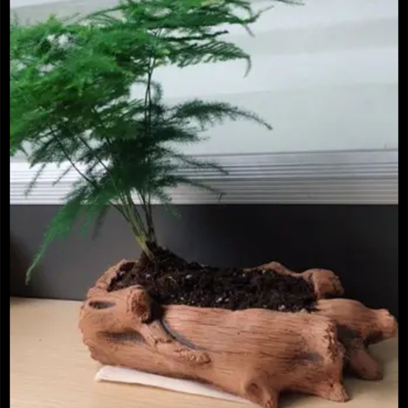 Imitation Wooden Stakes Tree R - Succulent Set recension och pris