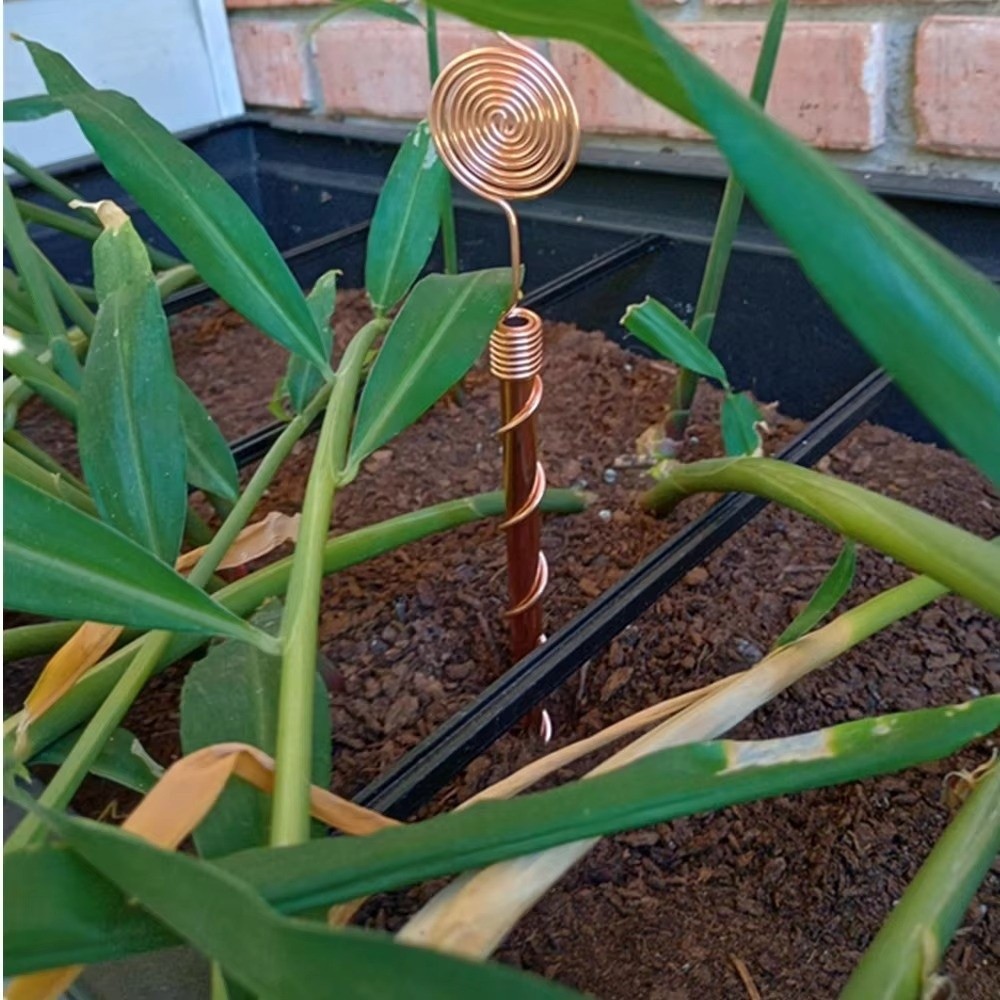 Spiral Coil Electroculture Pla - Plant Support Stake recension och pris