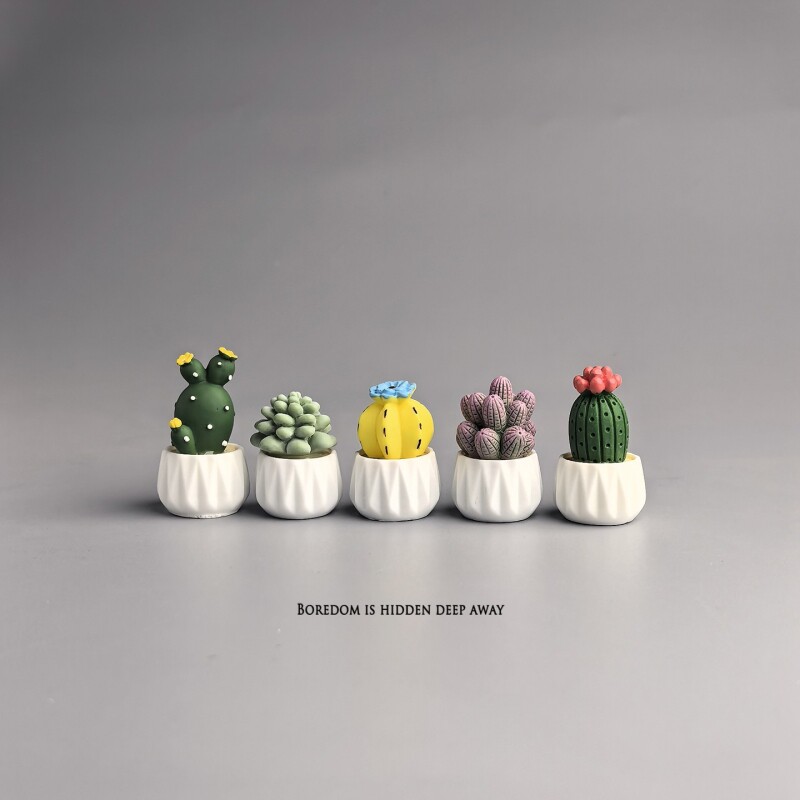 Potted Cactus Succulent Mini W - Succulent Set recension och pris