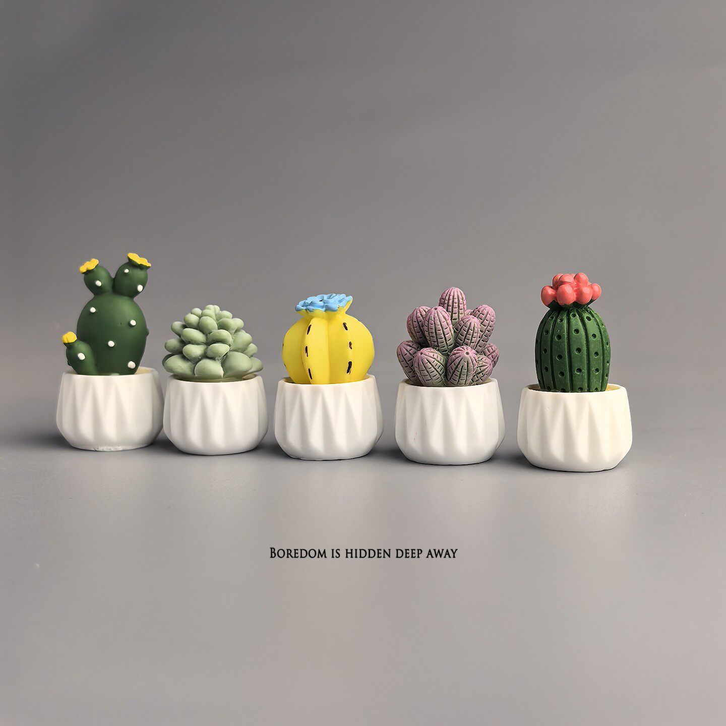 Potted Cactus Succulent Mini W - Succulent Set recension och pris