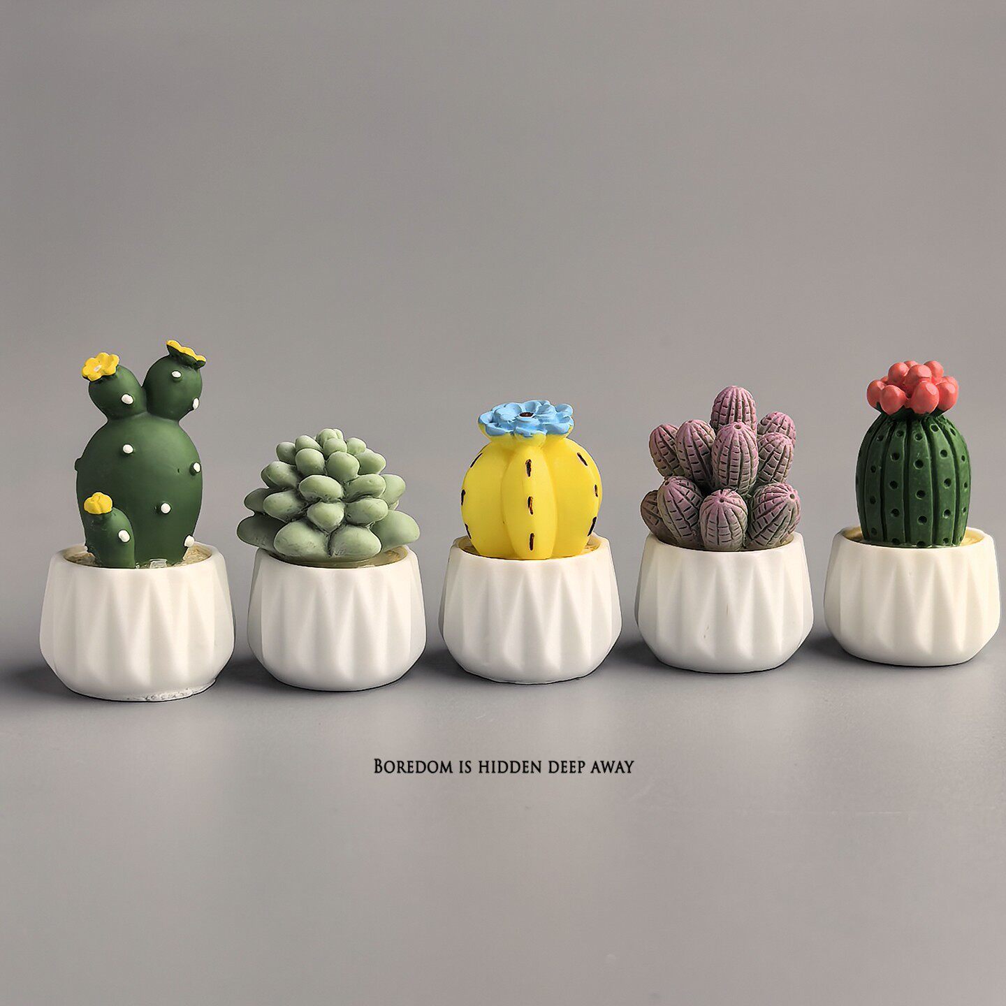 Potted Cactus Succulent Mini W - Succulent Set recension och pris