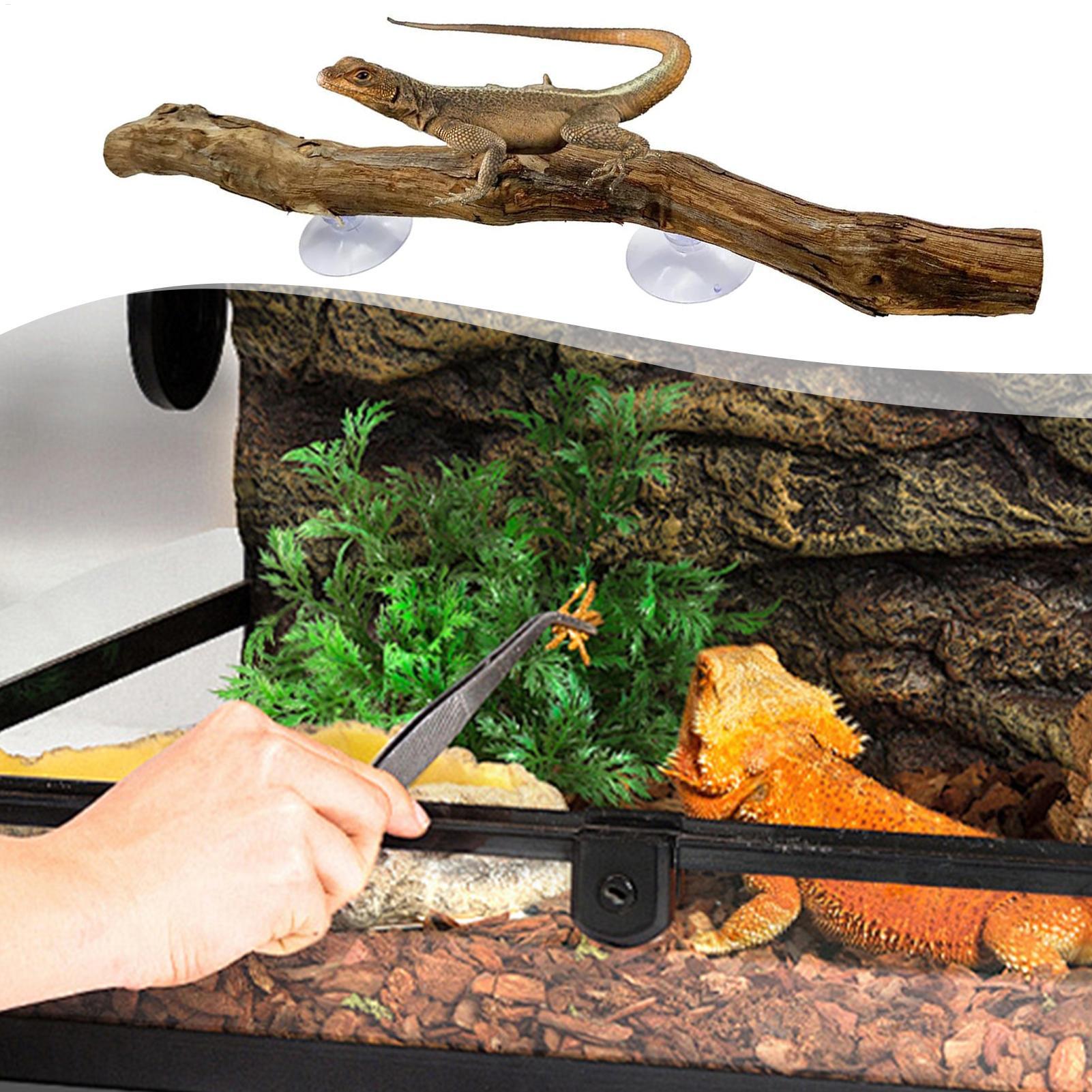 Reptile Climbing Corner Stick  - Snake Plant recension och pris