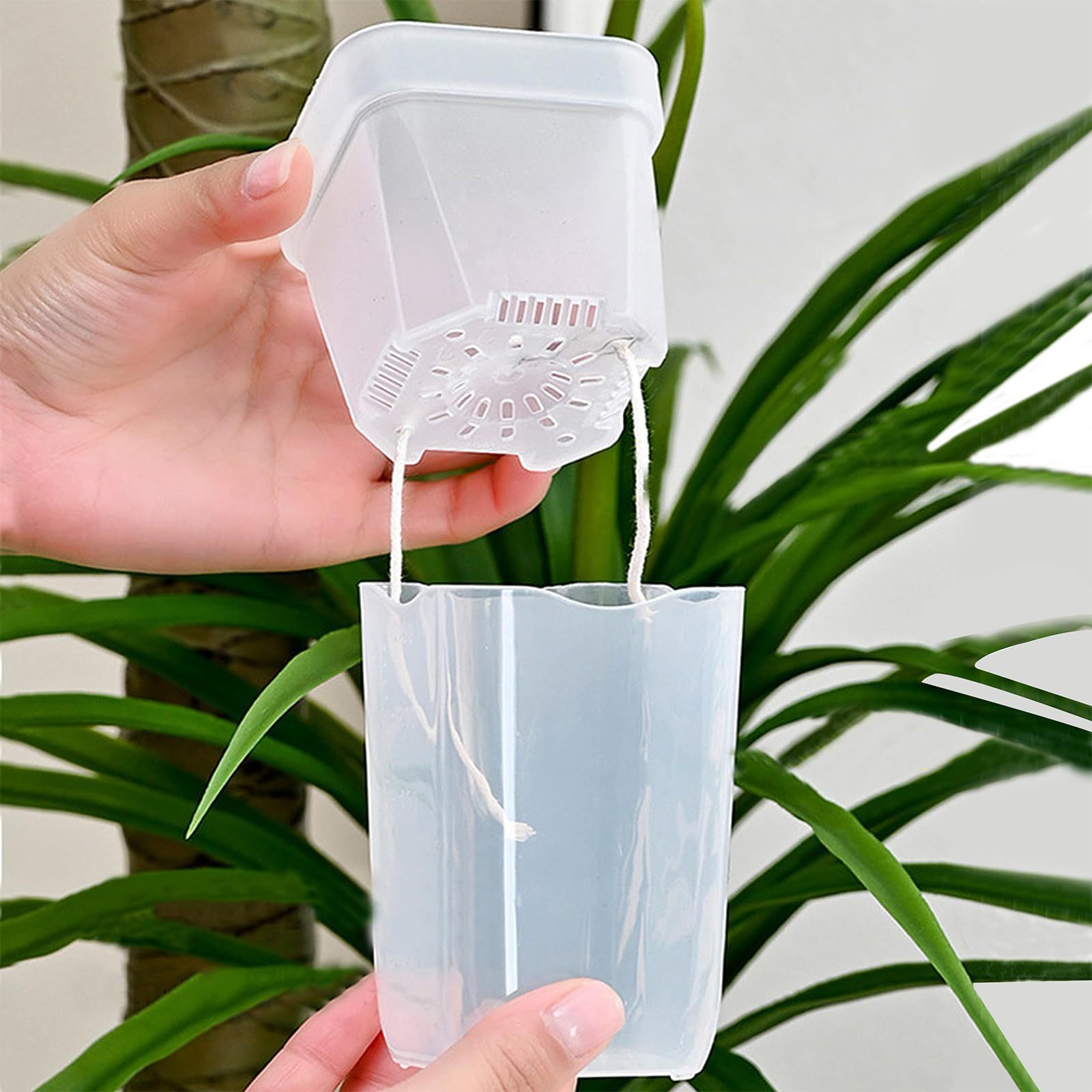 16/32 Pack Self-Watering Plant - Pothos recension och pris