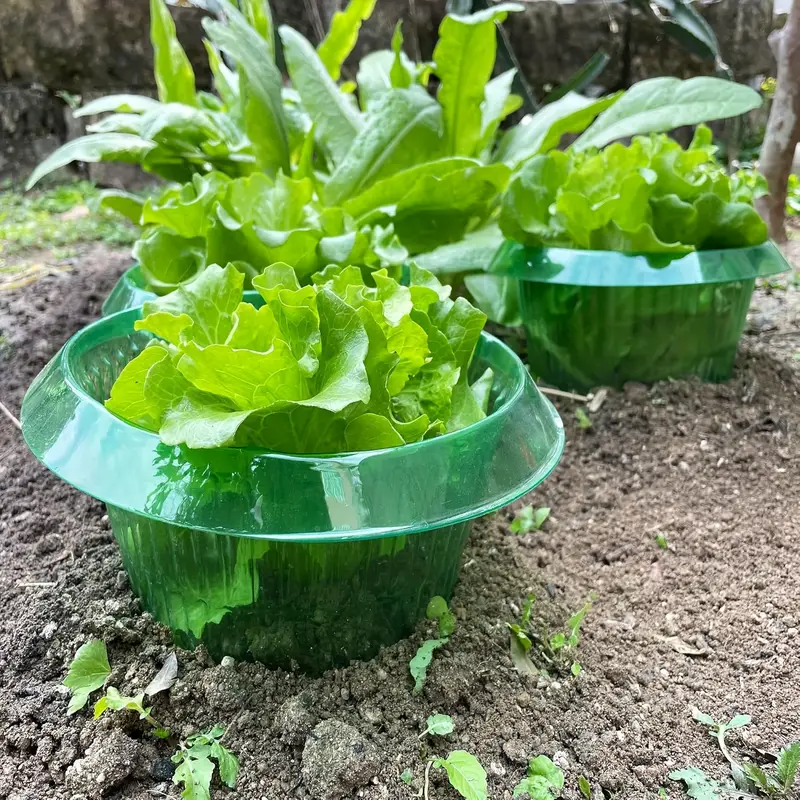 Plants Slug Protection Rings V - Terracotta Pot recension och pris