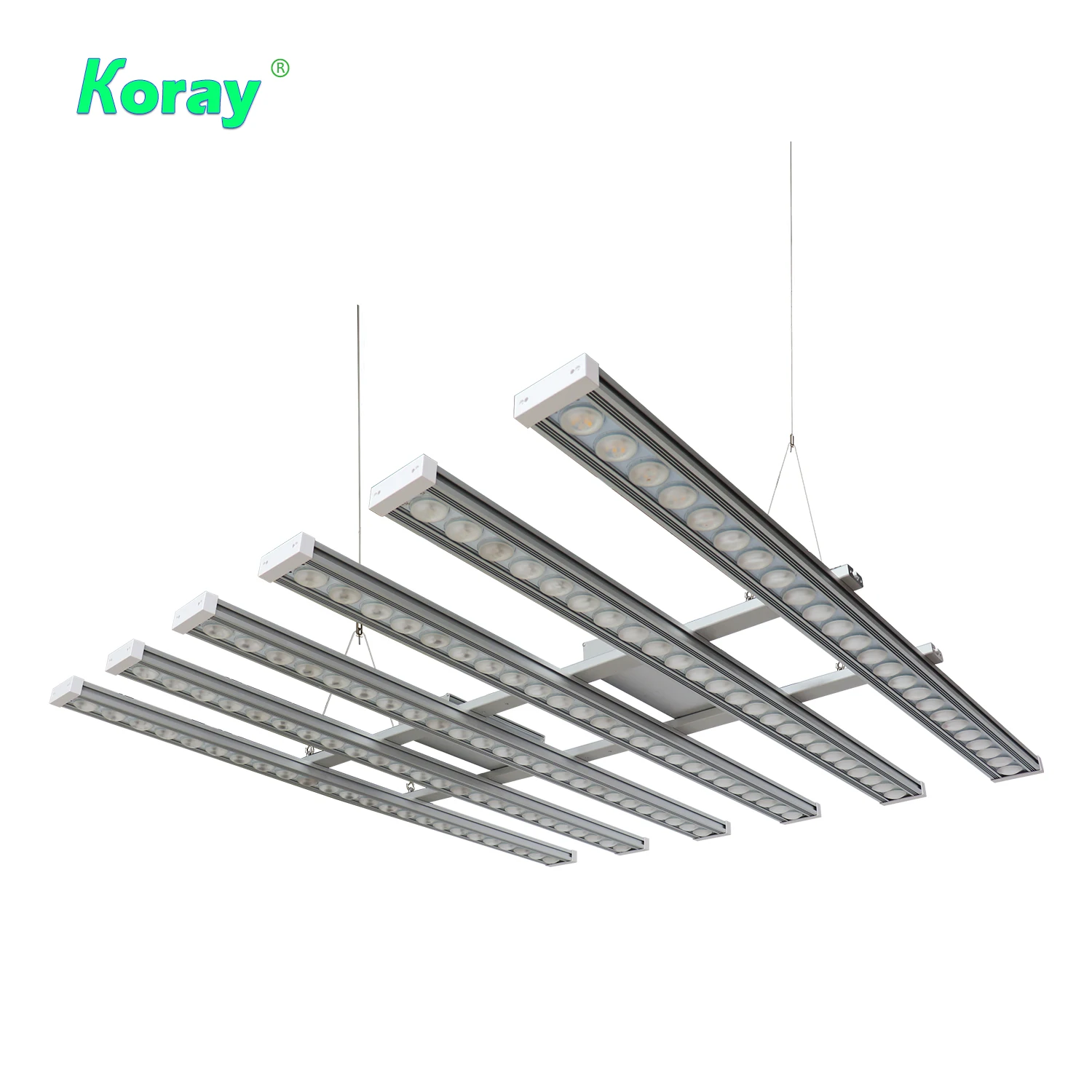 Koray 900W Indoor full spectru - Indoor Plants recension och pris
