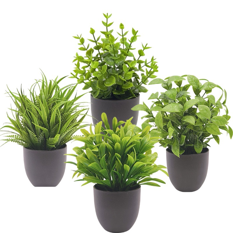 Simulation Green Plant Bonsai  - Succulent Set recension och pris
