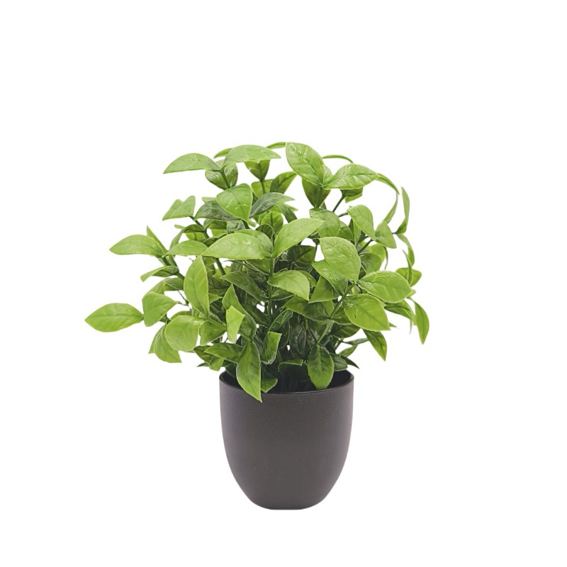 Simulation Green Plant Bonsai  - Succulent Set recension och pris