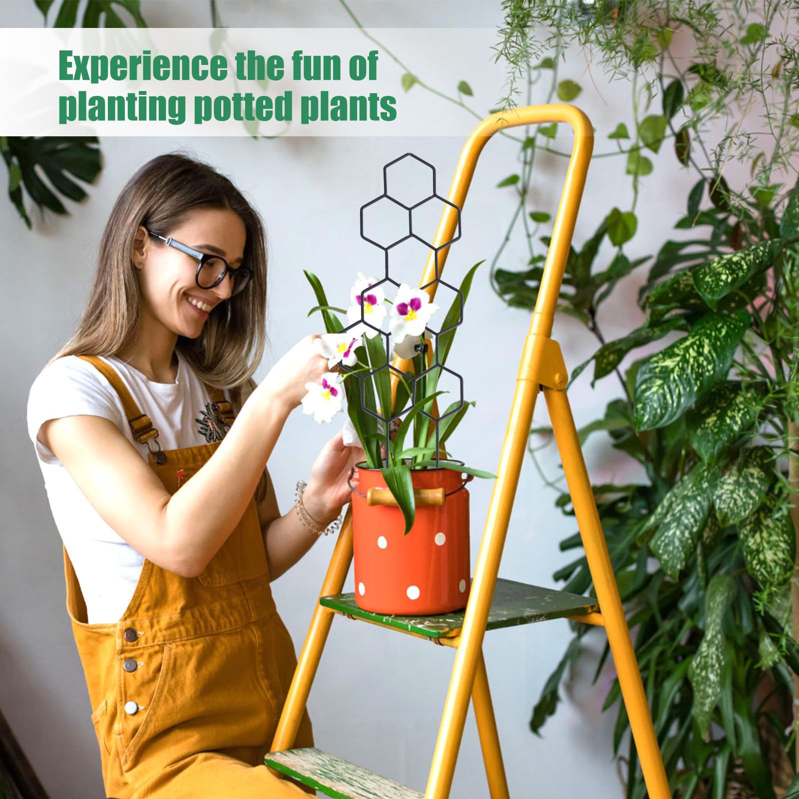 1PC Honeycomb Design Plant Tre - Pothos recension och pris
