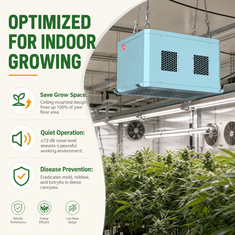Powerful Greenhouse Dehumidifi - Indoor Plants recension och pris